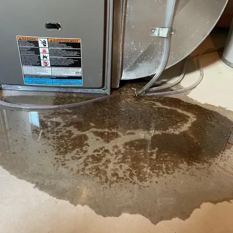 Appliance Leak Cleanup in Lebanon Junction, KY